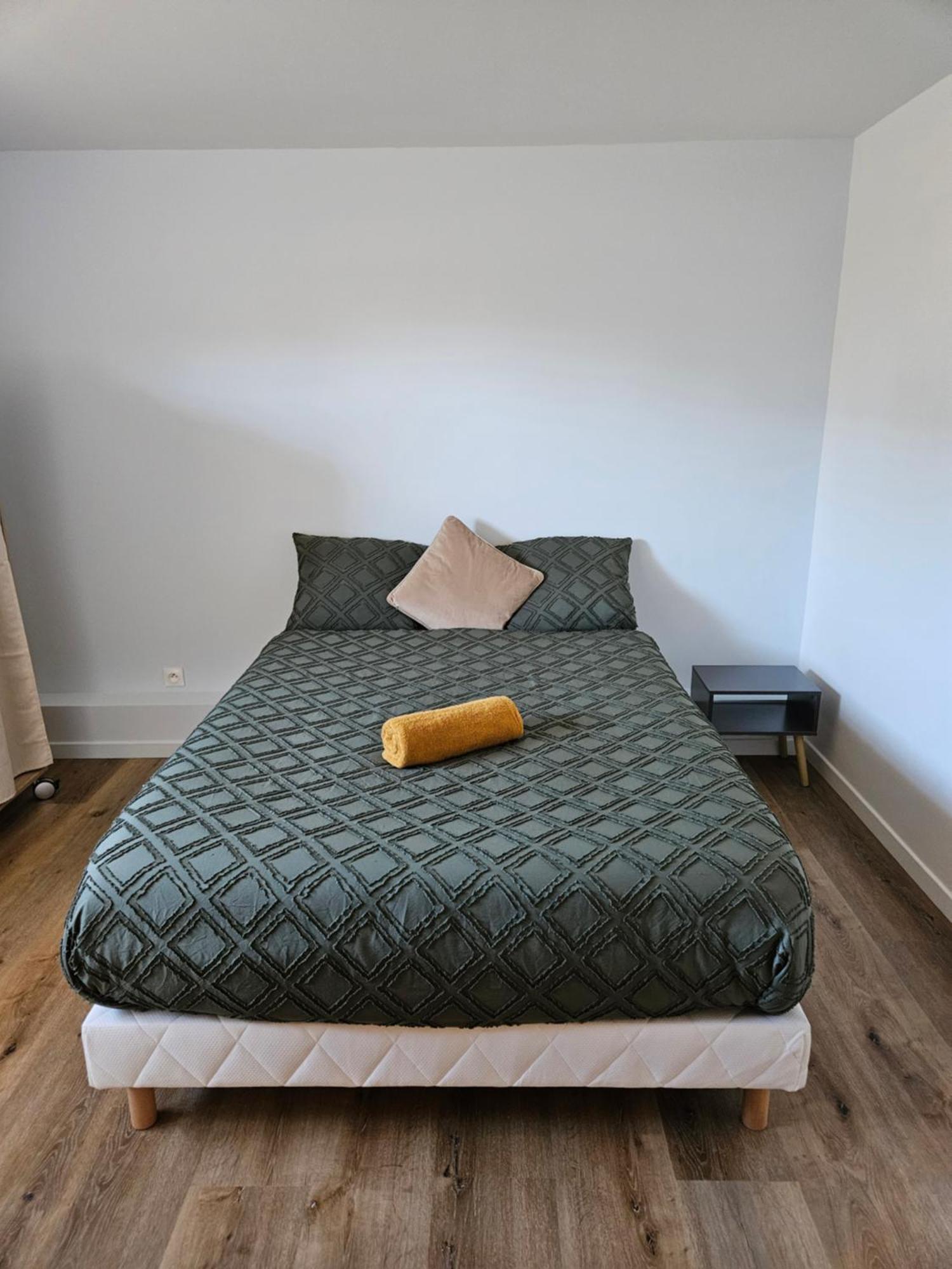 Maison Spacieuse Privatisee Ou A La Chambre - Places De Parking Saint-Michel  Extérieur photo